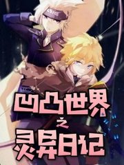 大象传媒入口